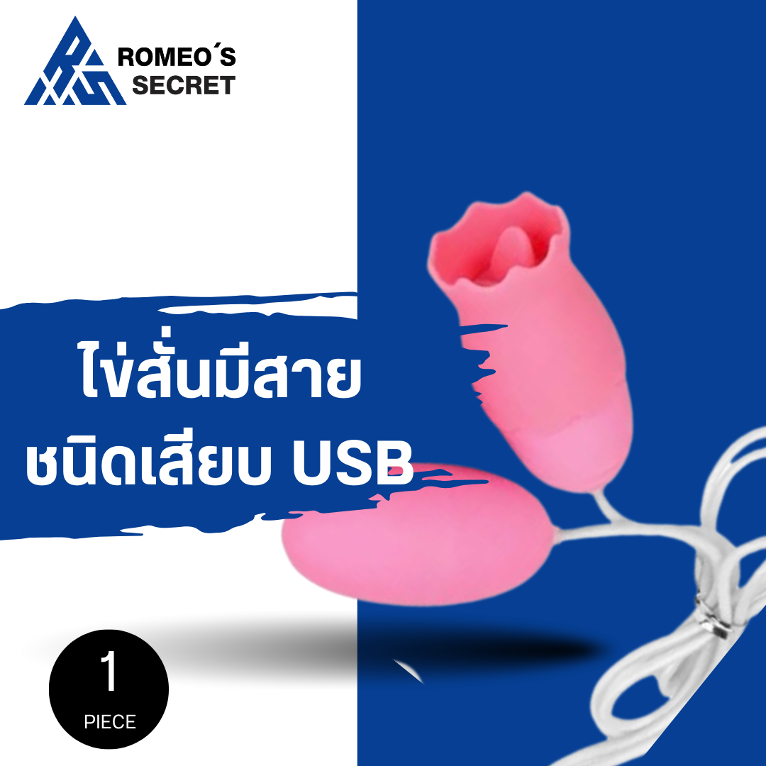 Dual Egg Vibrator 10 Function USB Pink (อุปกรณ์สั่น)